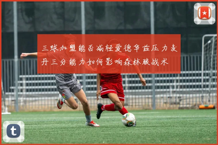 三球加盟能否减轻爱德华兹压力麦丹三分能力如何影响森林狼战术